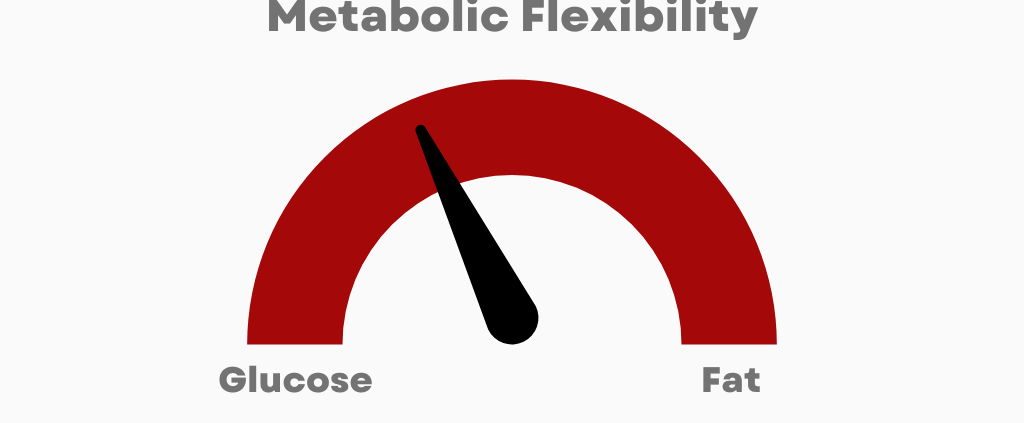 infographic showing how metabolic flexibility helps burn fat