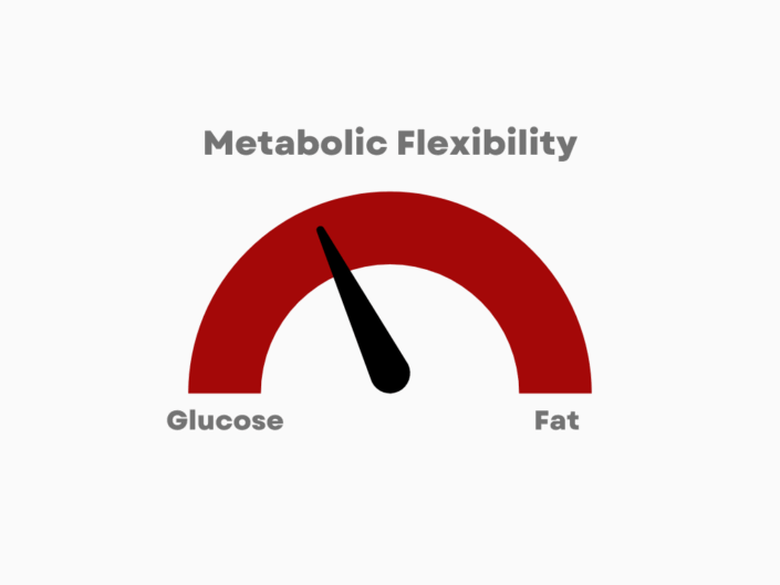 1ef3510-ff85-ee31-7628-0df1c8d70283_Red_Minimalist_Colorful_Progress_Dial_Infographic_Graph_1_ infographic showing how metabolic flexibility helps burn fat